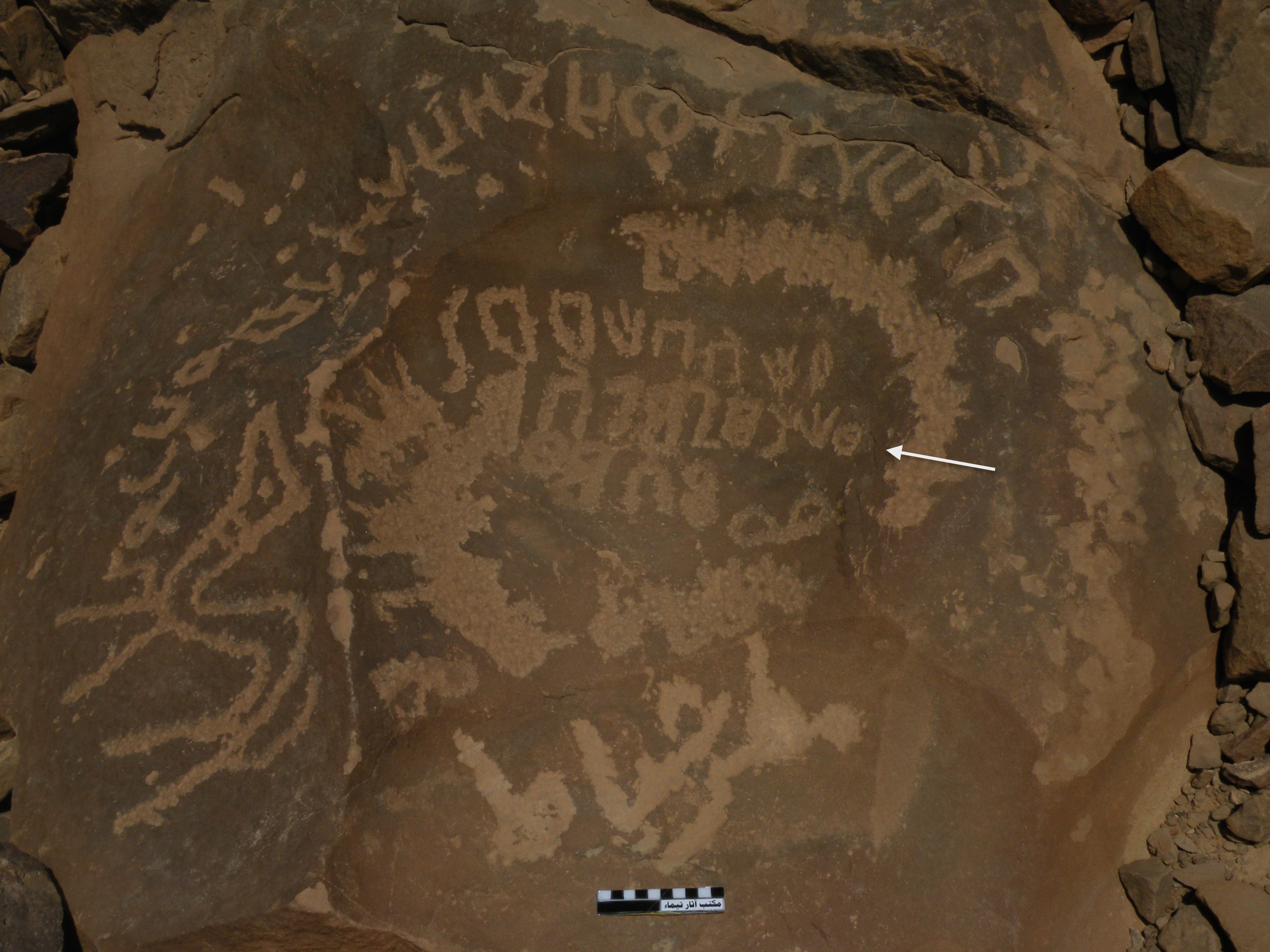 inscription of siglum WTay 09 (line 2)