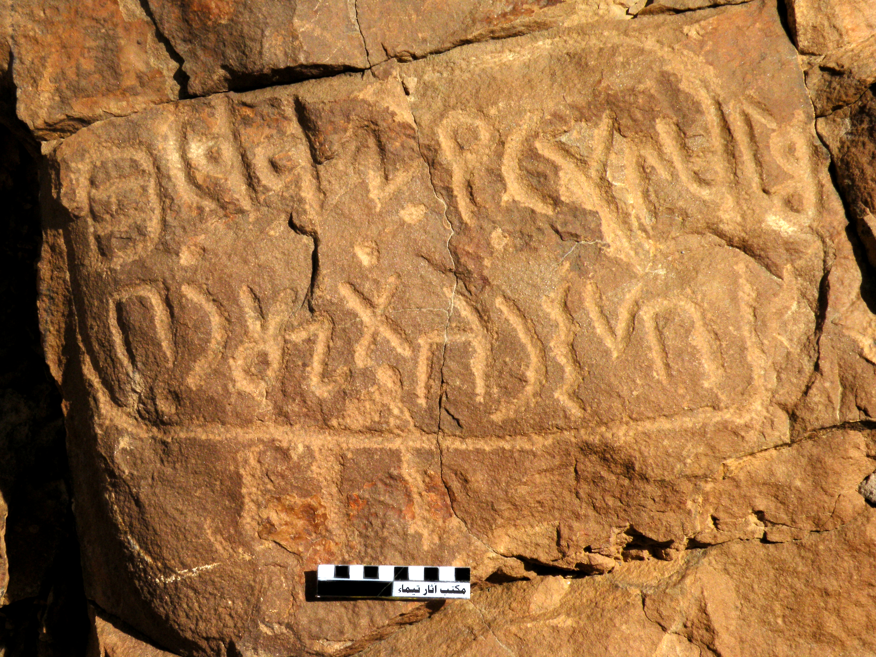 inscription of siglum WTay 20