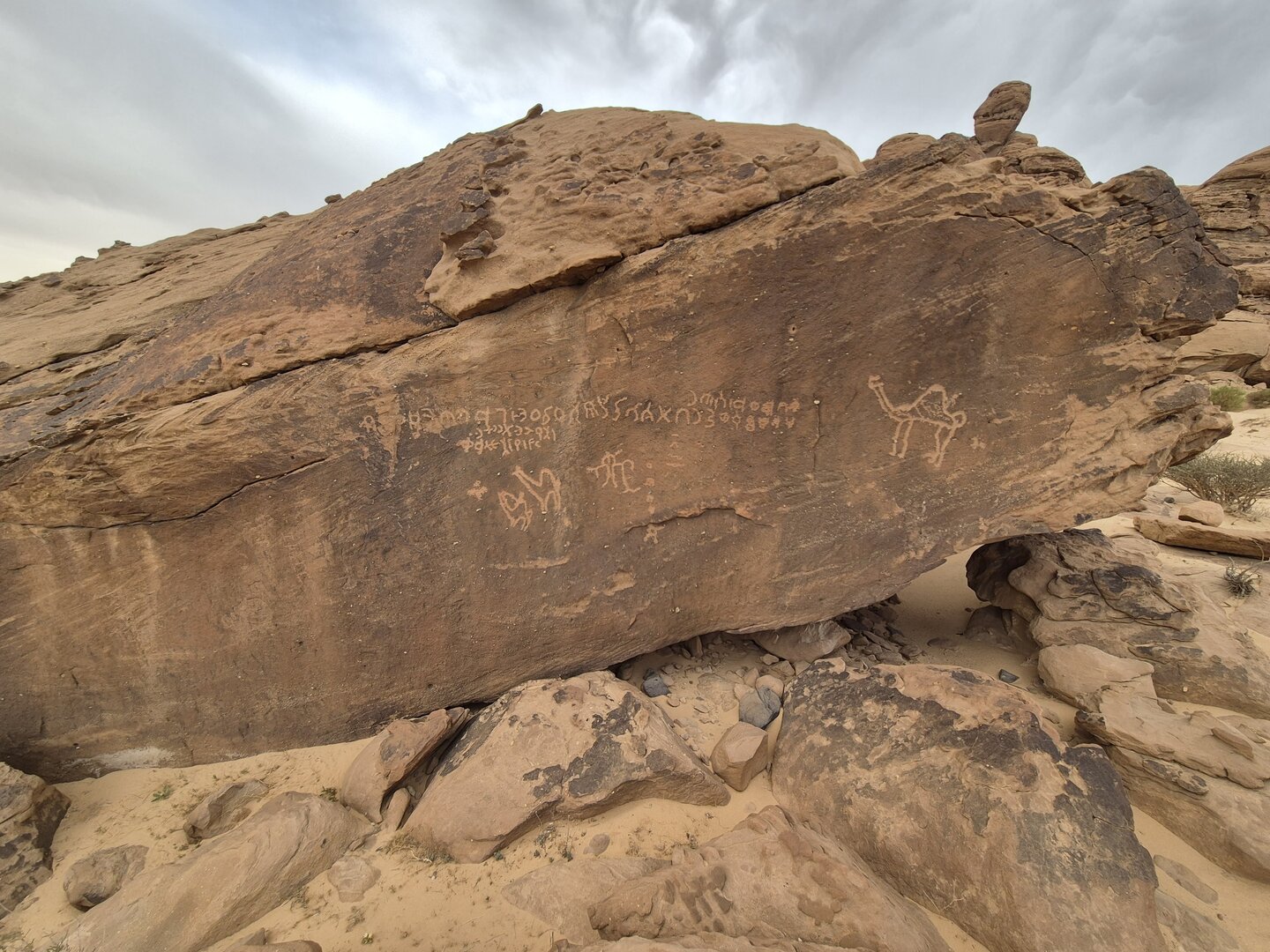 Image of YBHI 1