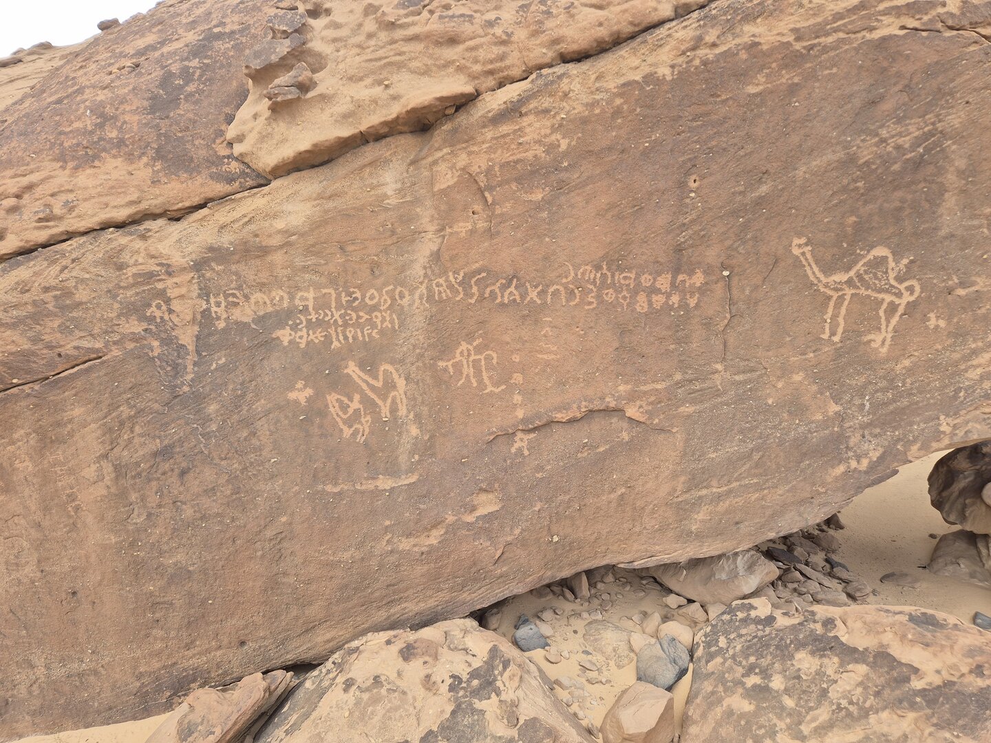 Image of YBHI 1