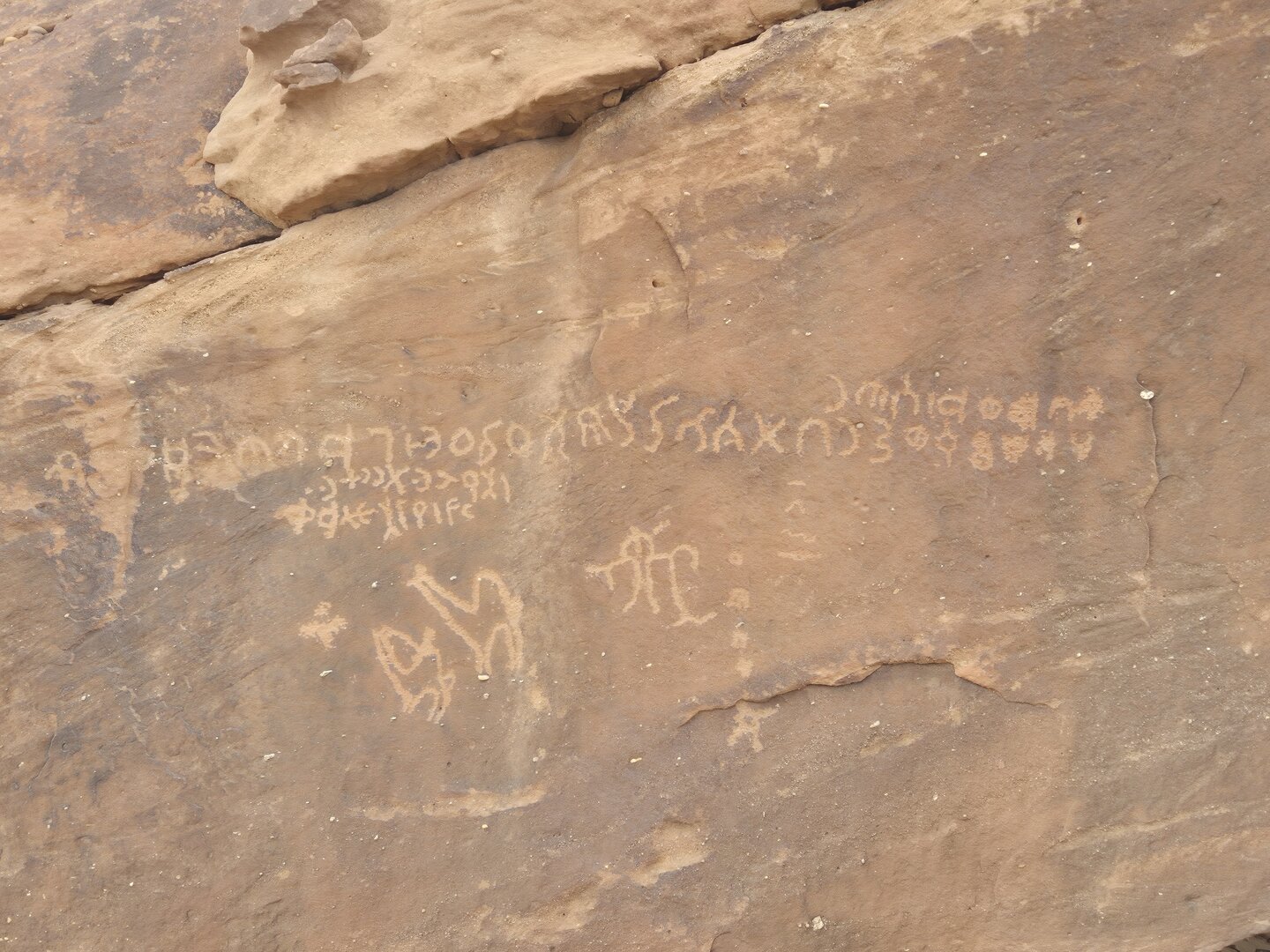 Image of YBHI 1