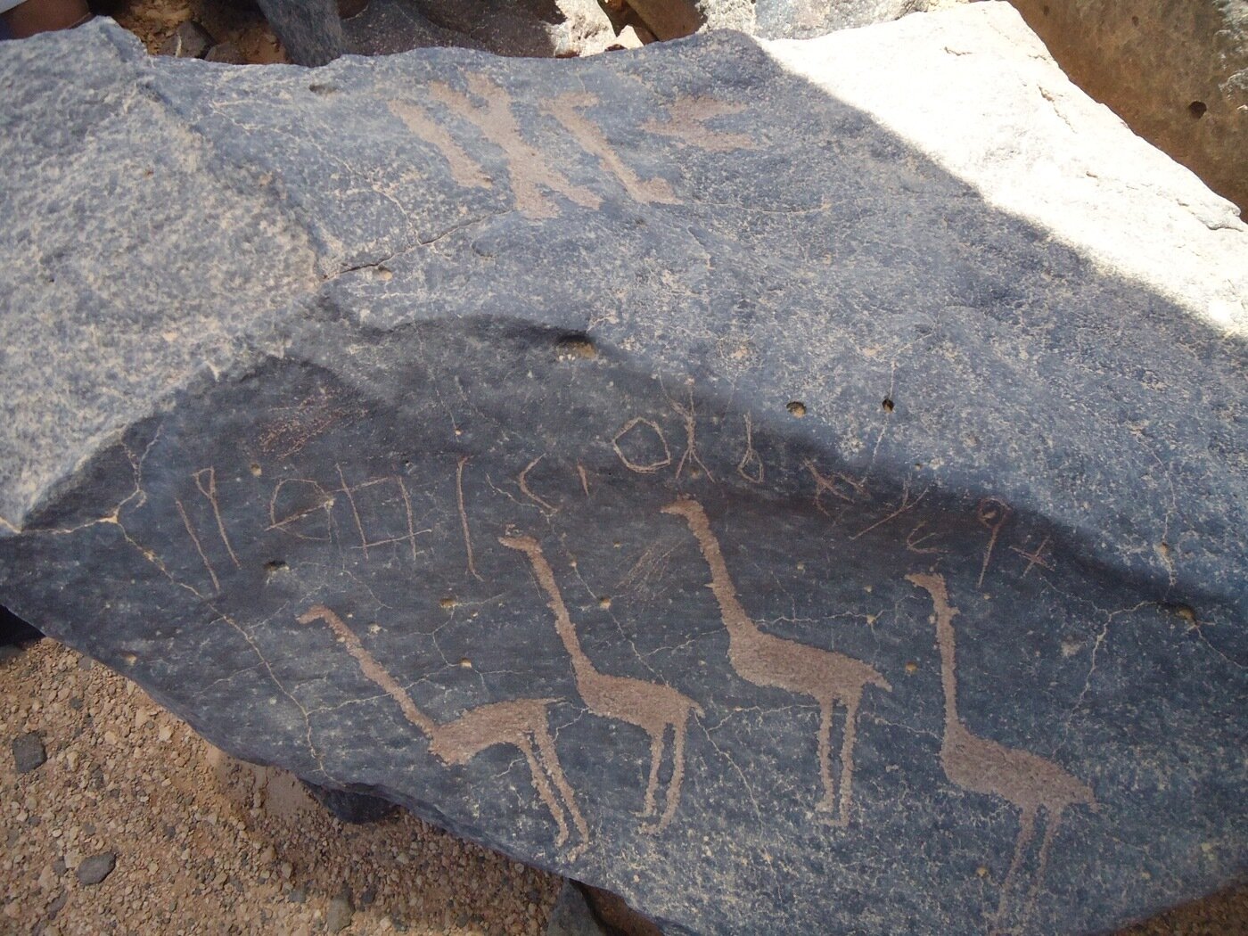 inscription of siglum ZMMS 17