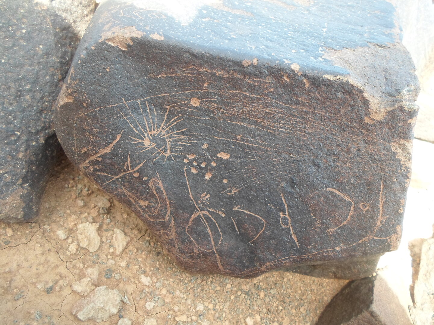 inscription of siglum ZMMS 173