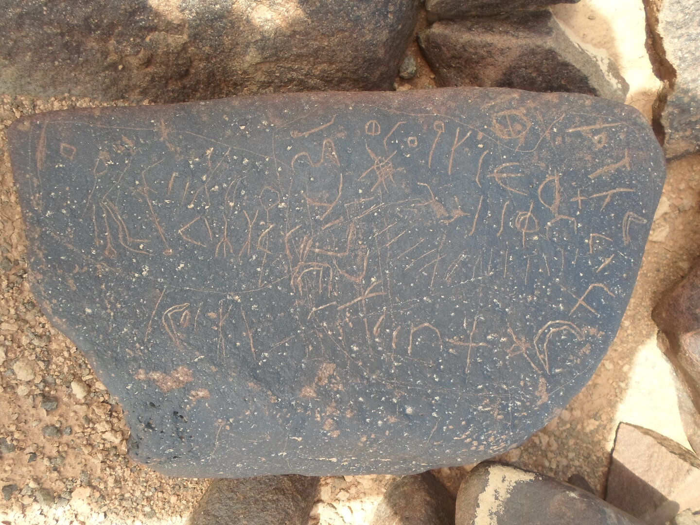 inscription of siglum ZMMS 174