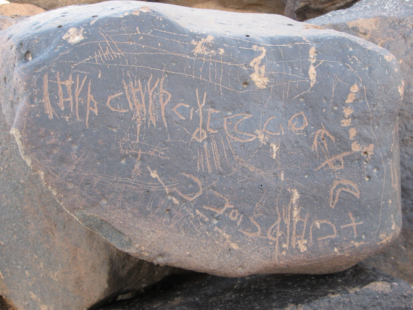 inscription of siglum ZMMS 184