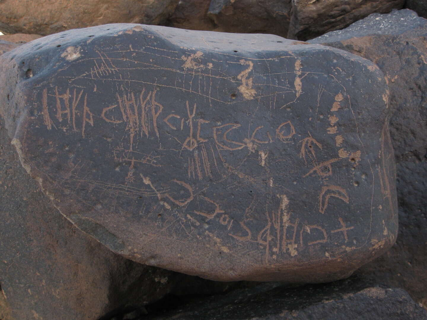 inscription of siglum ZMMS 184