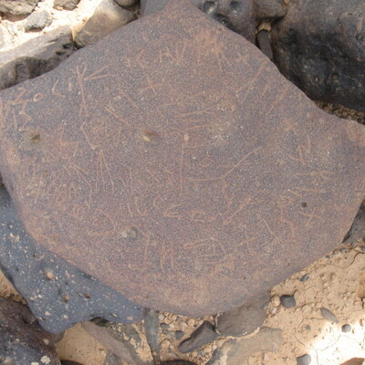 inscription of siglum ZMMS 186
