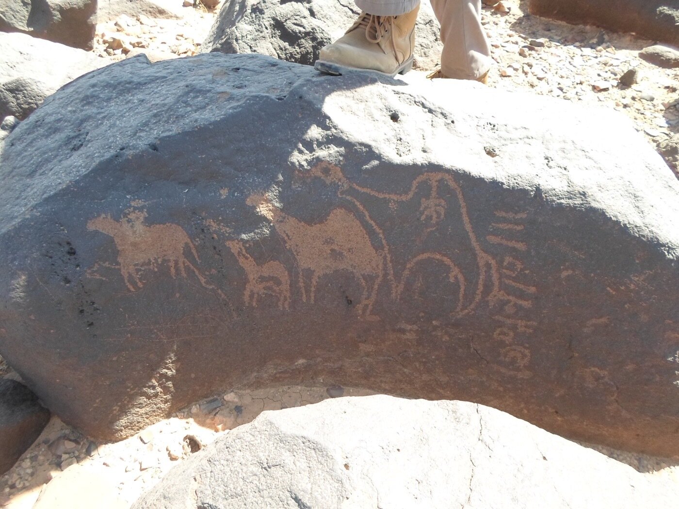 inscription of siglum ZMMS 193