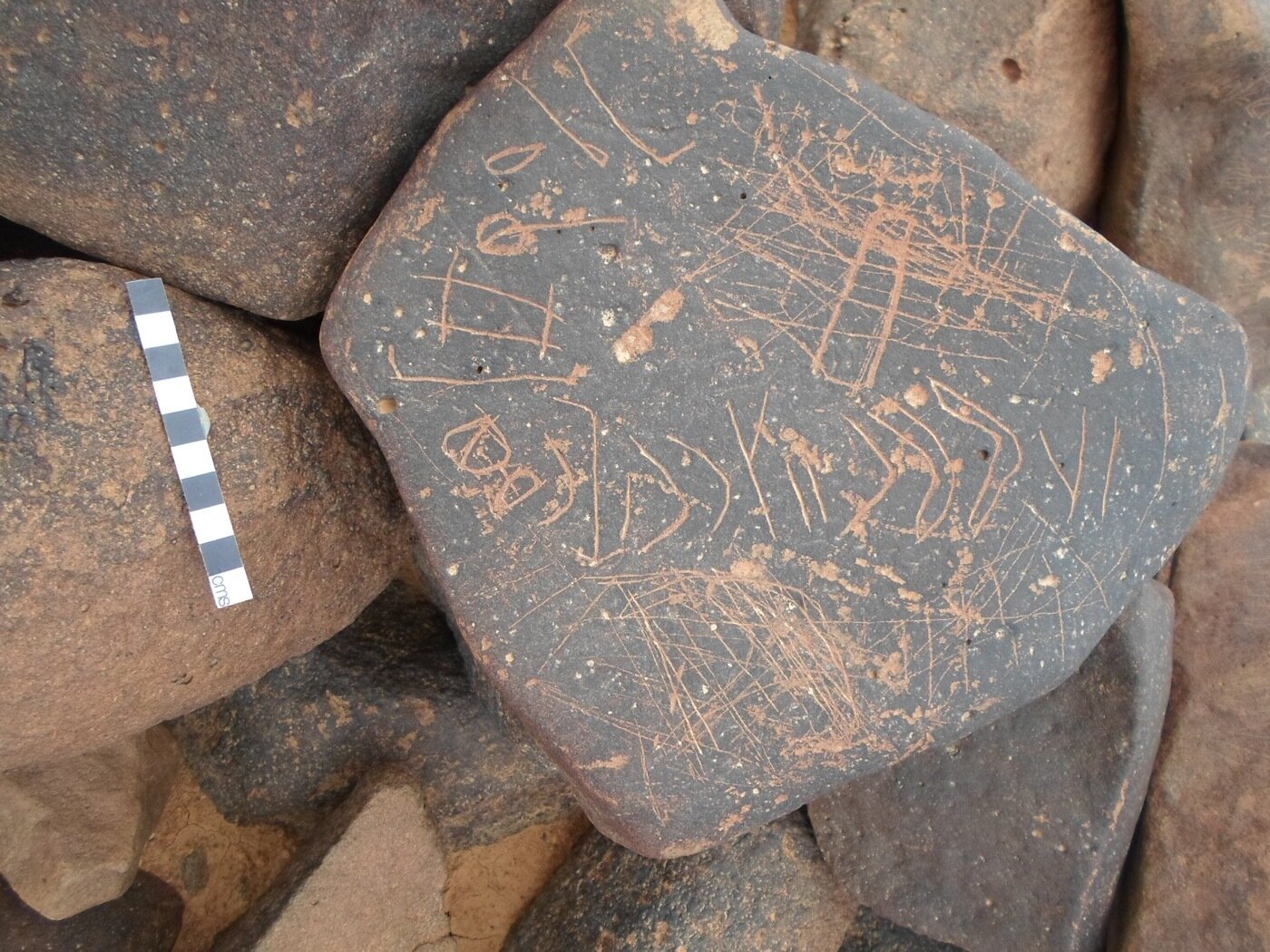 inscription of siglum ZMMS 204