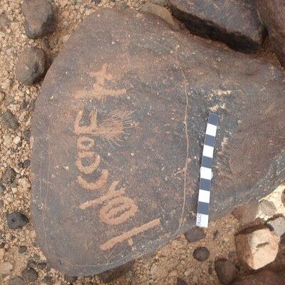 inscription of siglum ZMMS 206