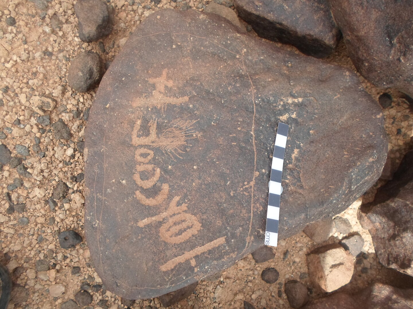inscription of siglum ZMMS 206