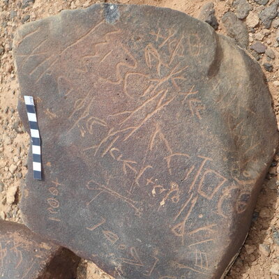 inscription of siglum ZMMS 207