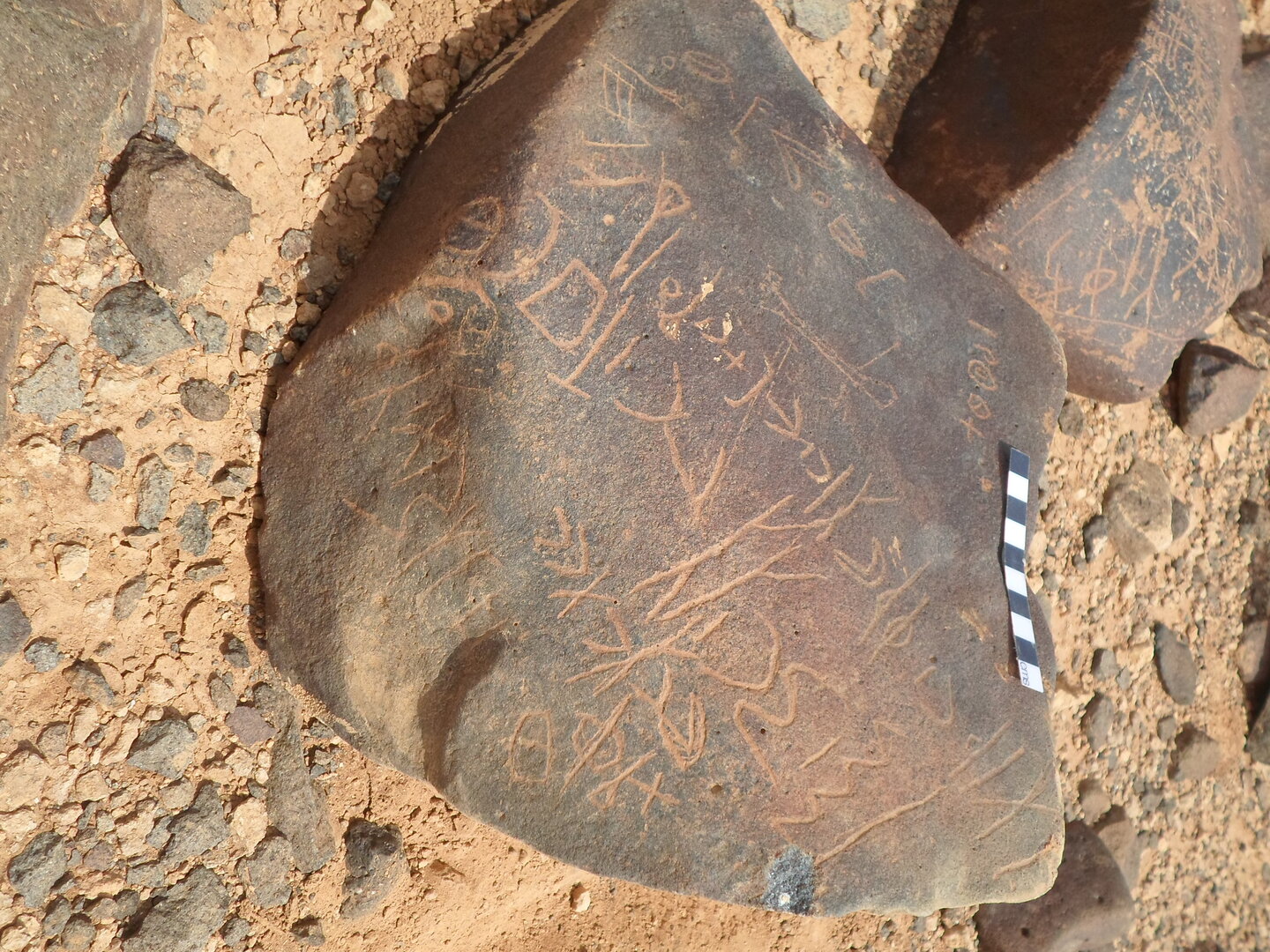 inscription of siglum ZMMS 208