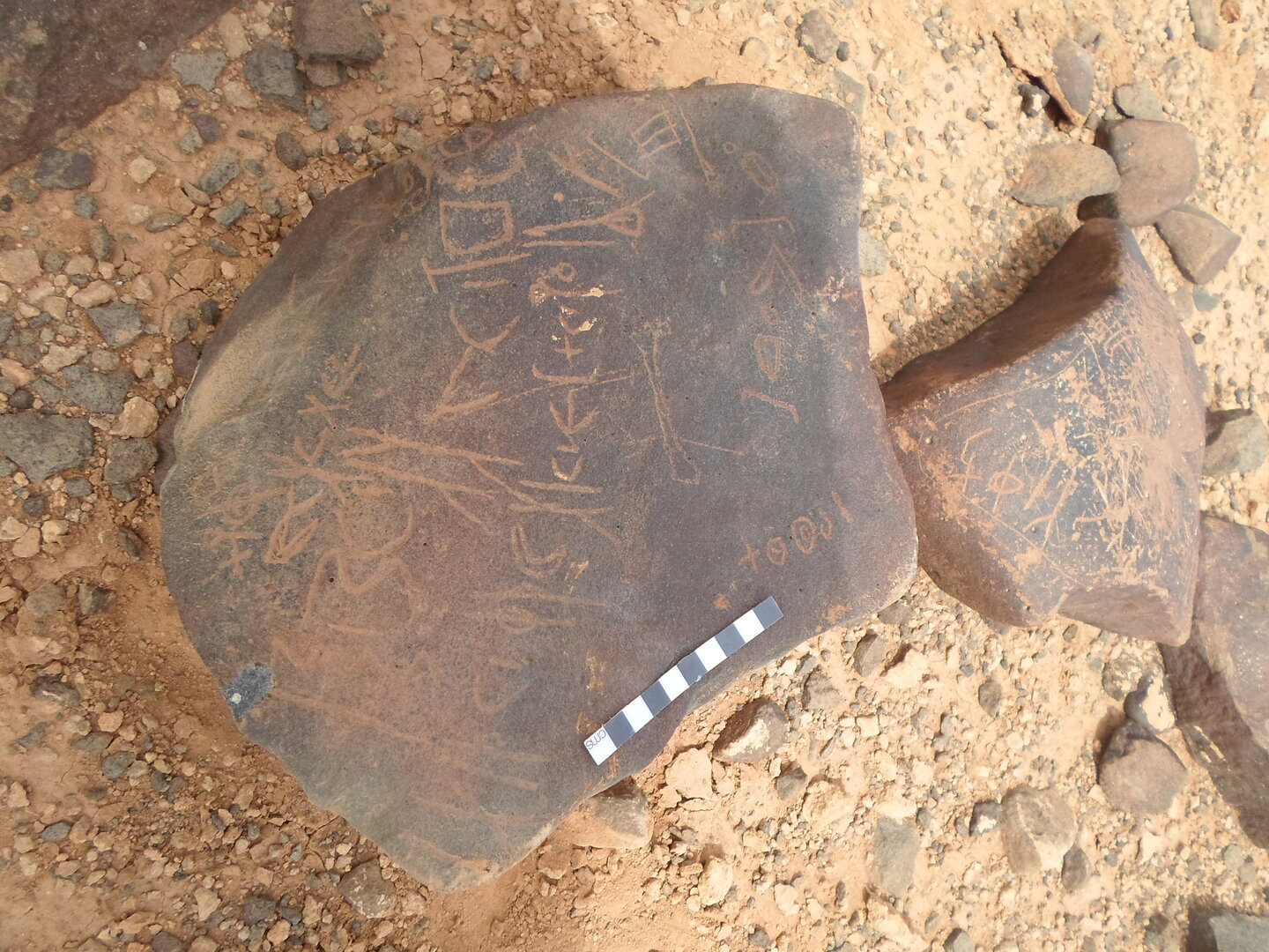 inscription of siglum ZMMS 209