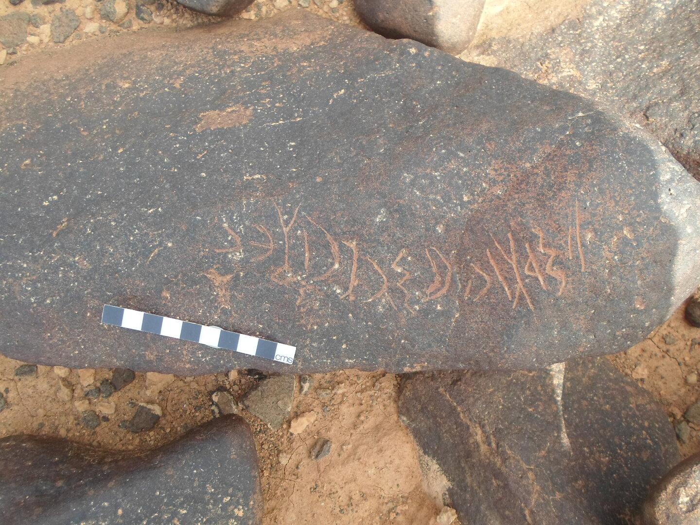 inscription of siglum ZMMS 211