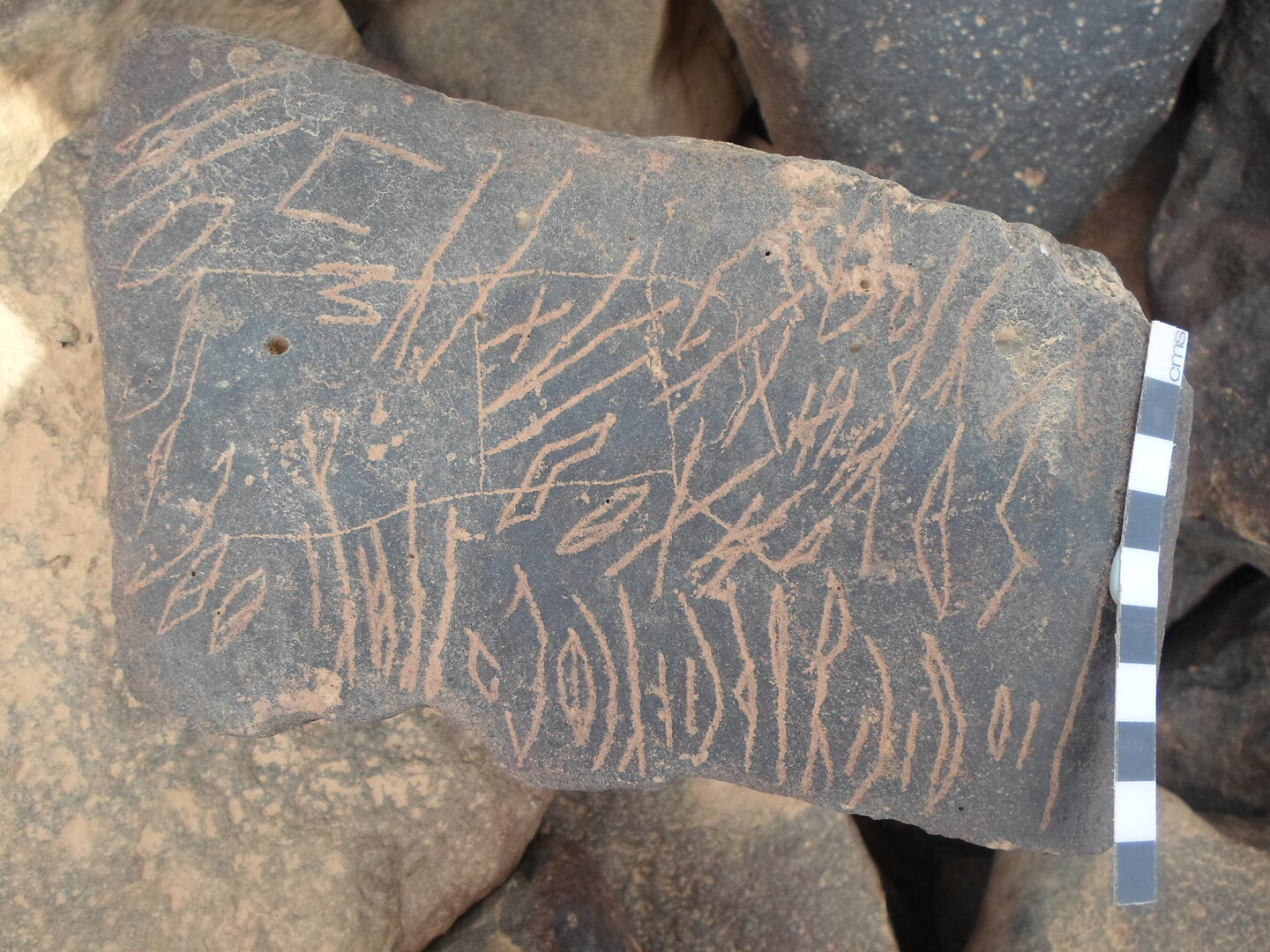 inscription of siglum ZMMS 213