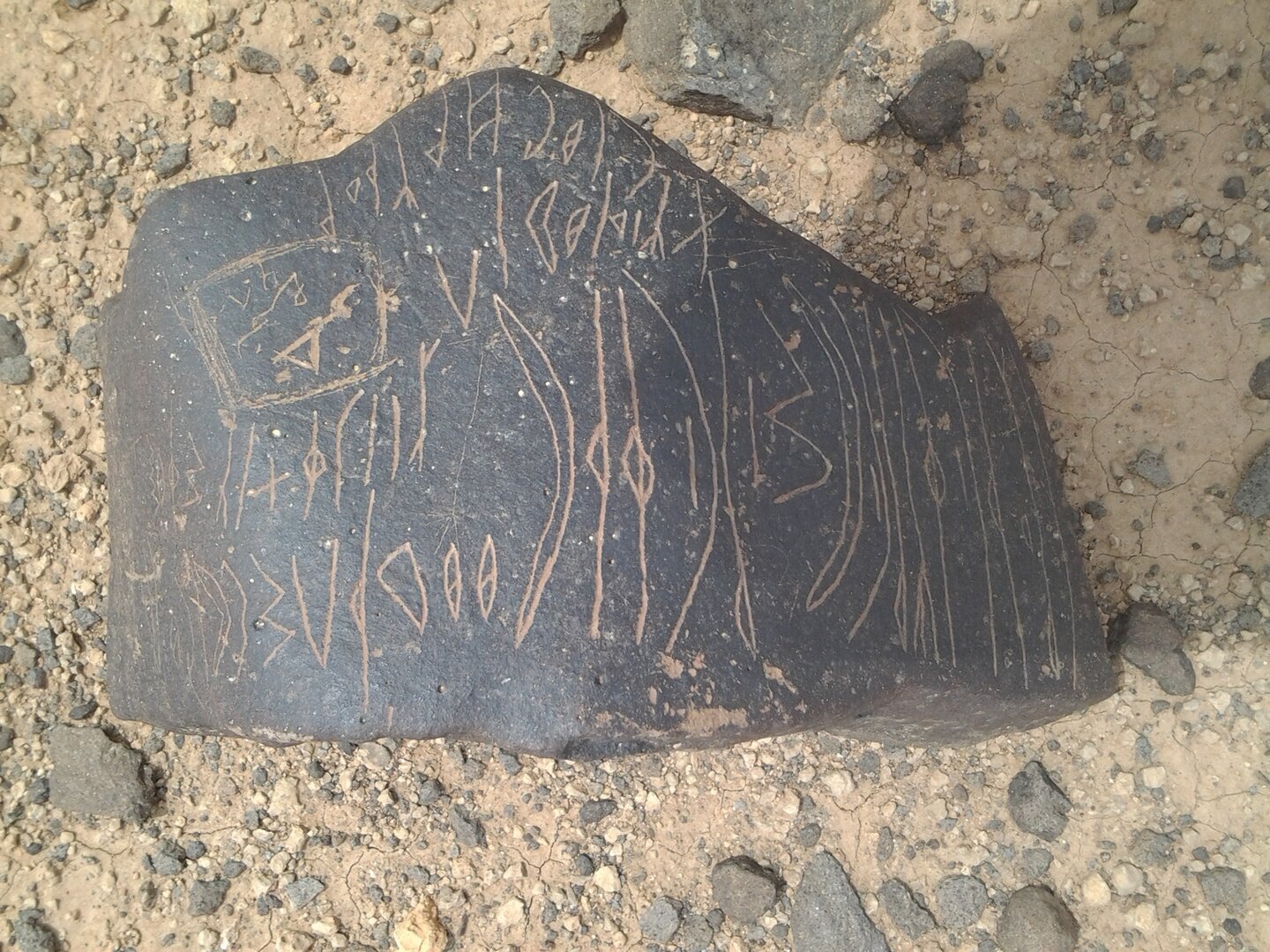inscription of siglum ZMMS 215