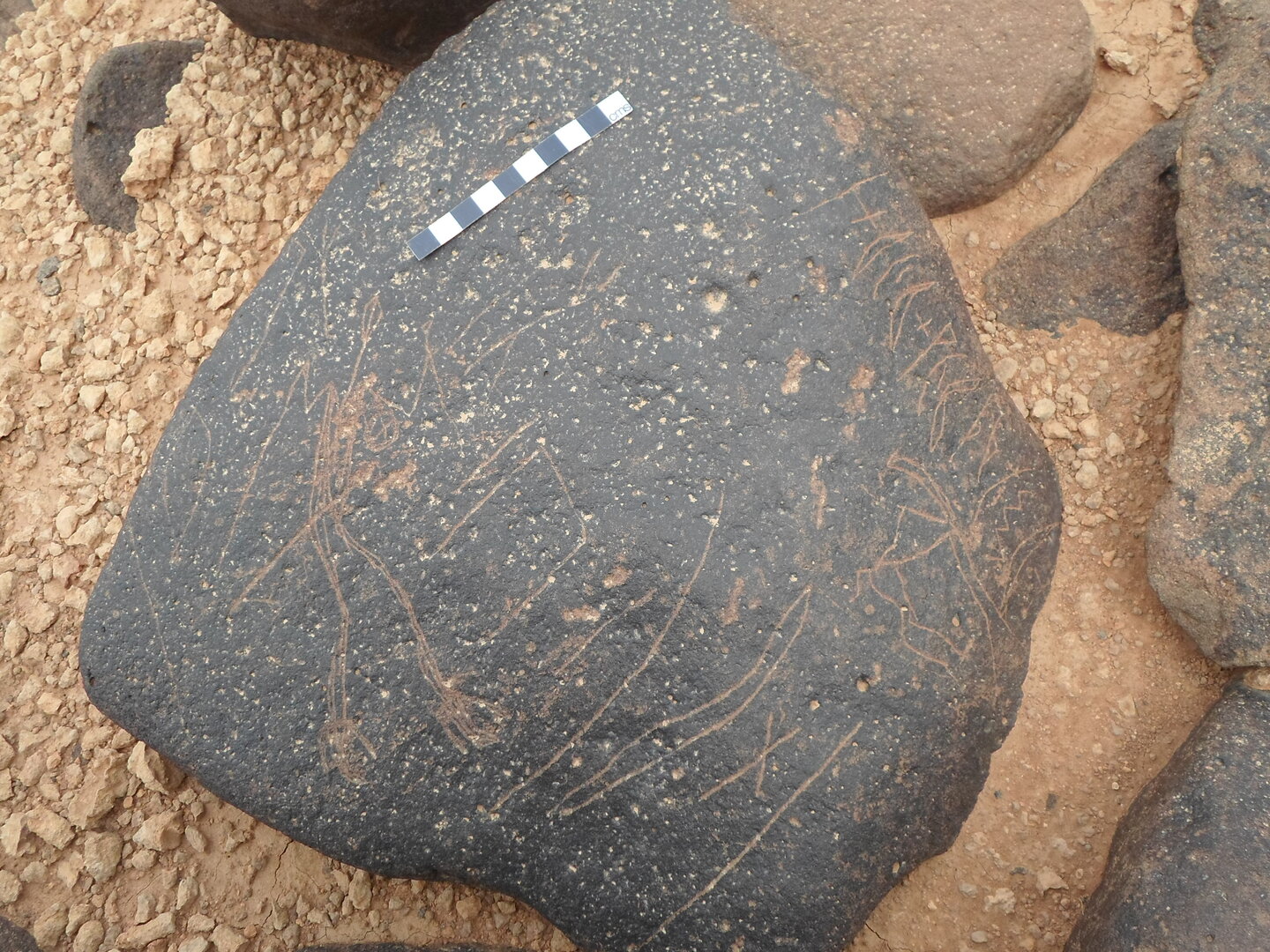 inscription of siglum ZMMS 218