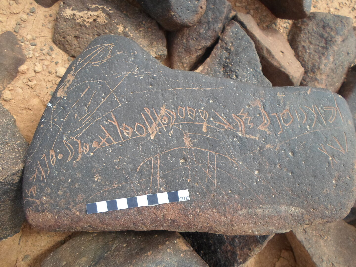 inscription of siglum ZMMS 222