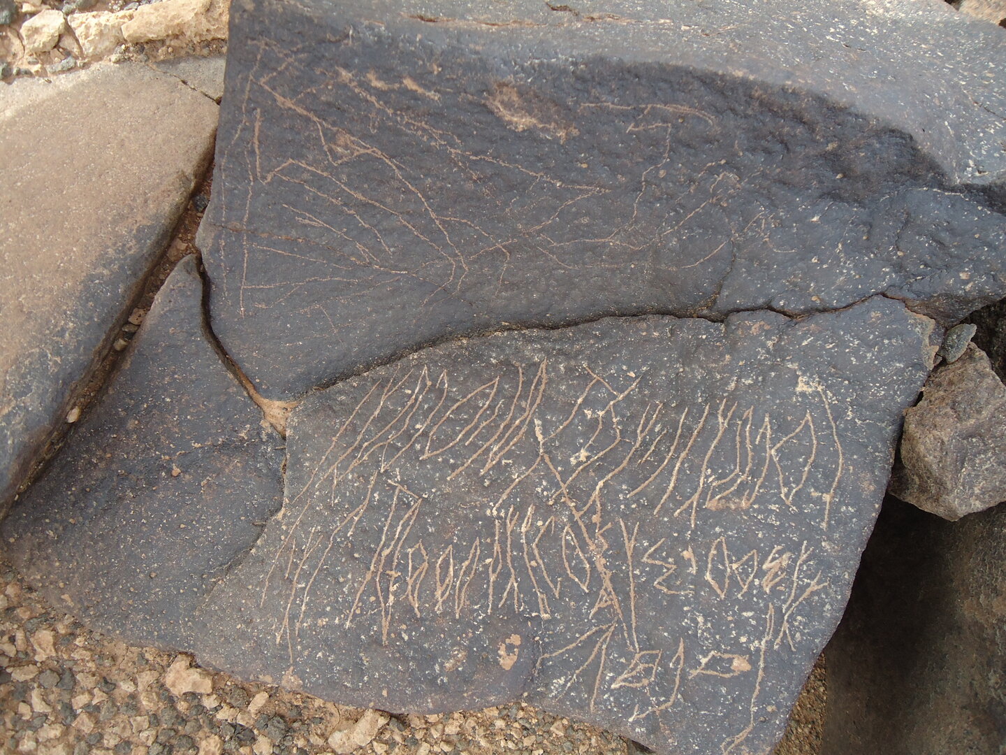 inscription of siglum ZMMS 27