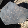 inscription of siglum ZMMS 32