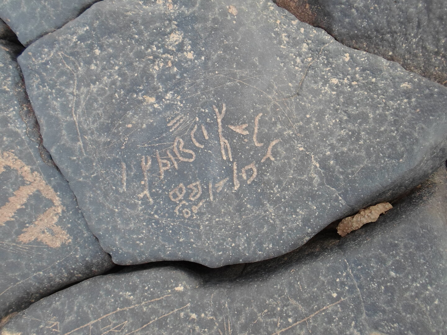 inscription of siglum ZMMS 36