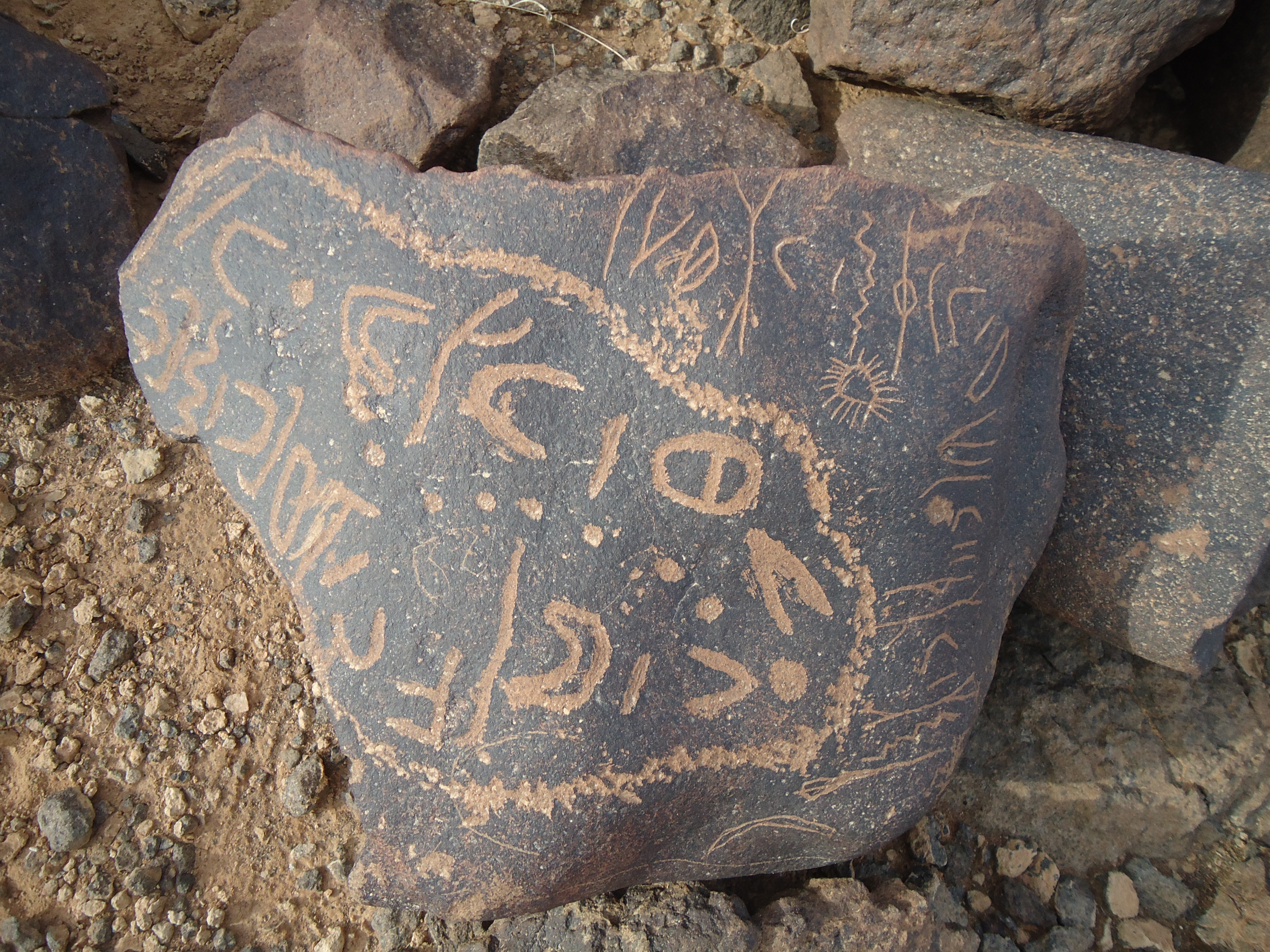 inscription of siglum ZMMS 41