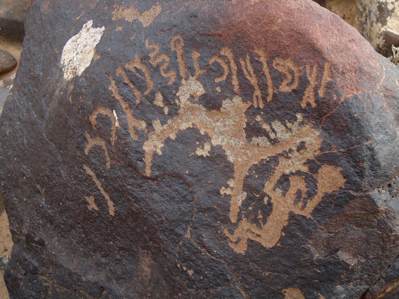 inscription of siglum ZMMS 42