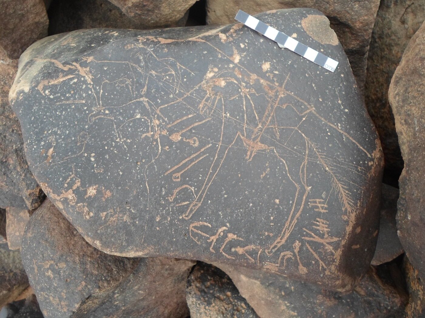 inscription of siglum ZMMS 44