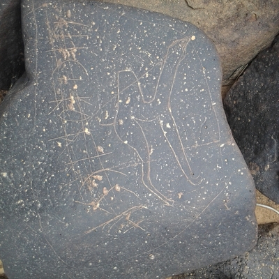 inscription of siglum ZMMS 48