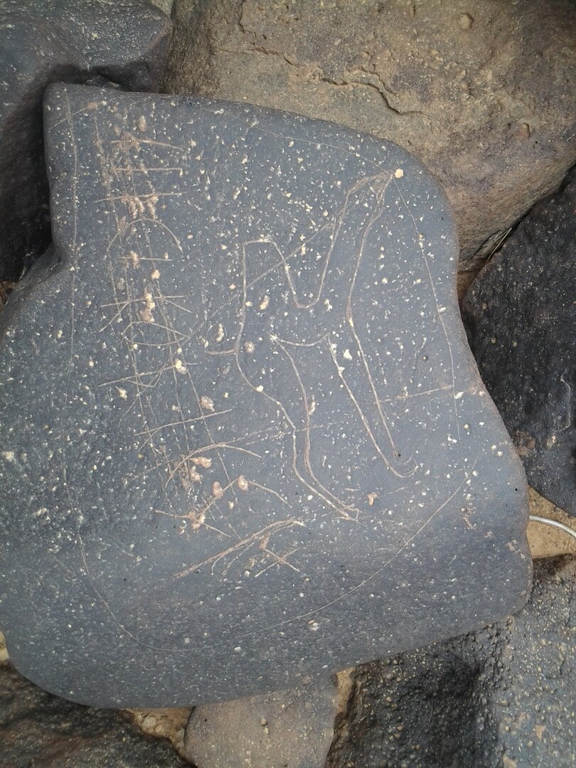 inscription of siglum ZMMS 48