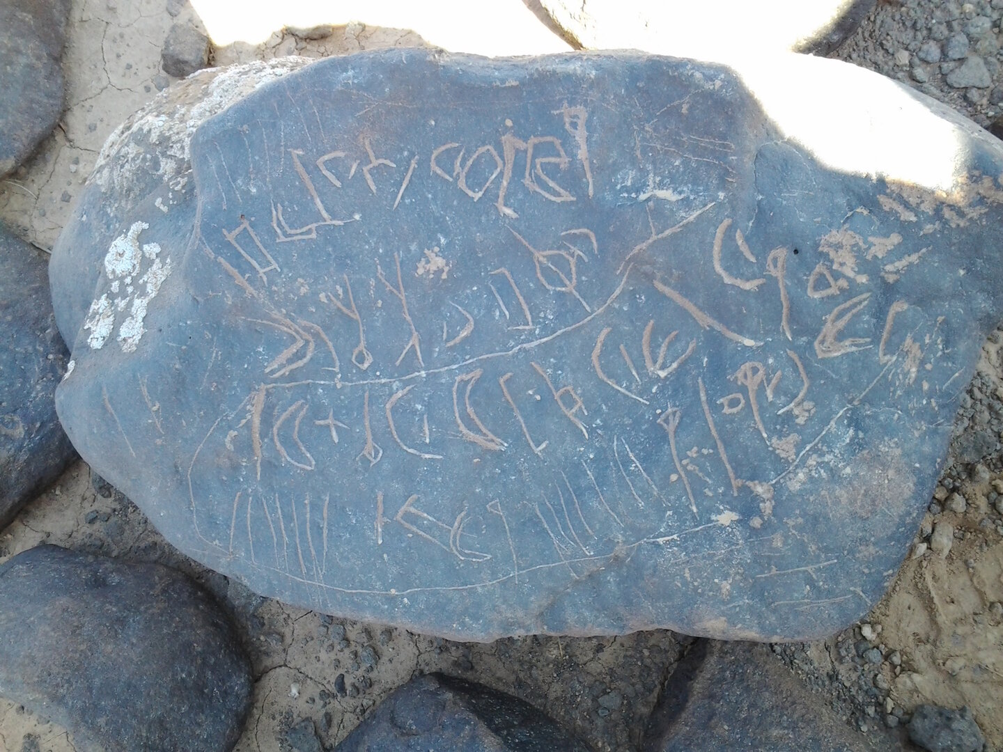 inscription of siglum ZMMS 52