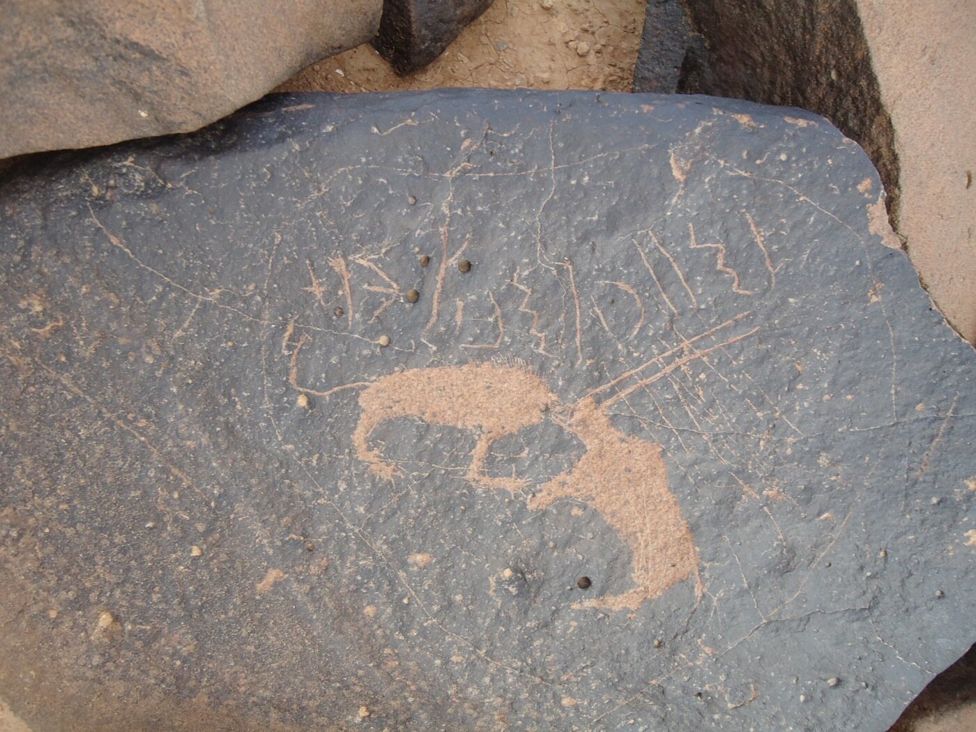 inscription of siglum ZMMS 56