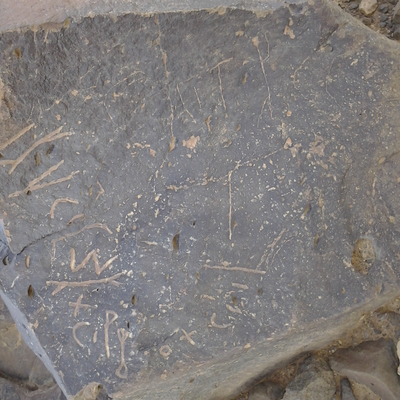 inscription of siglum ZMMS 65