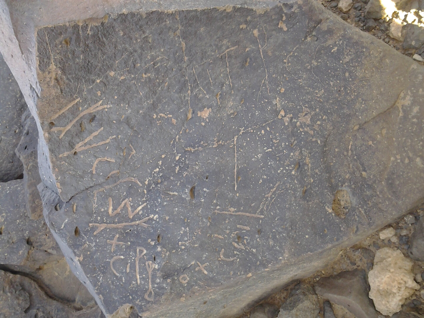inscription of siglum ZMMS 65