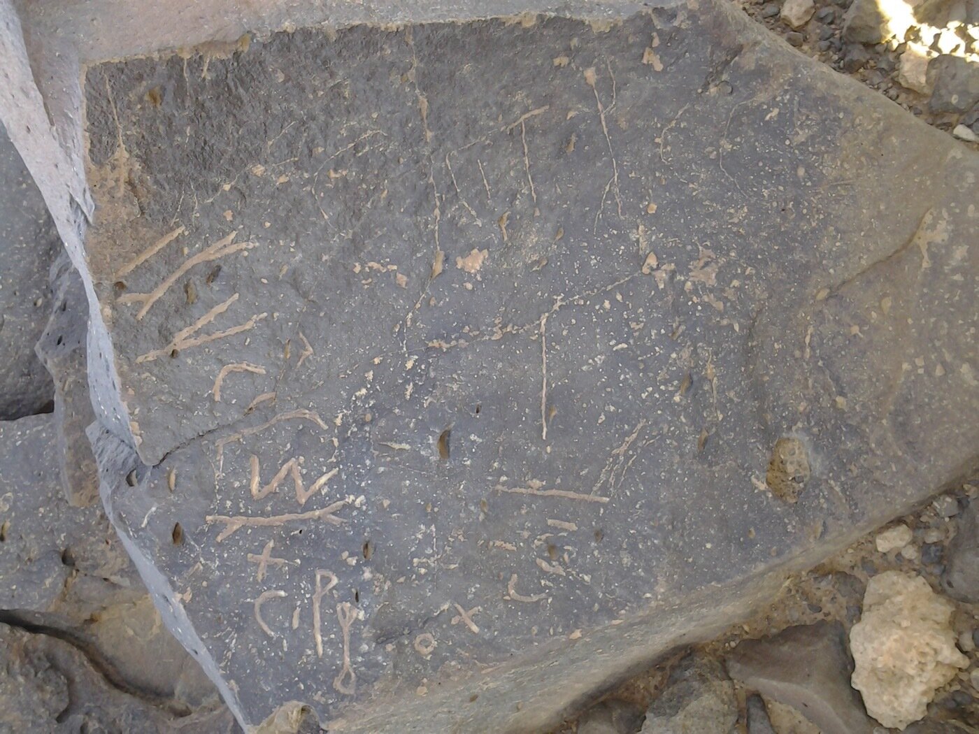 inscription of siglum ZMMS 66