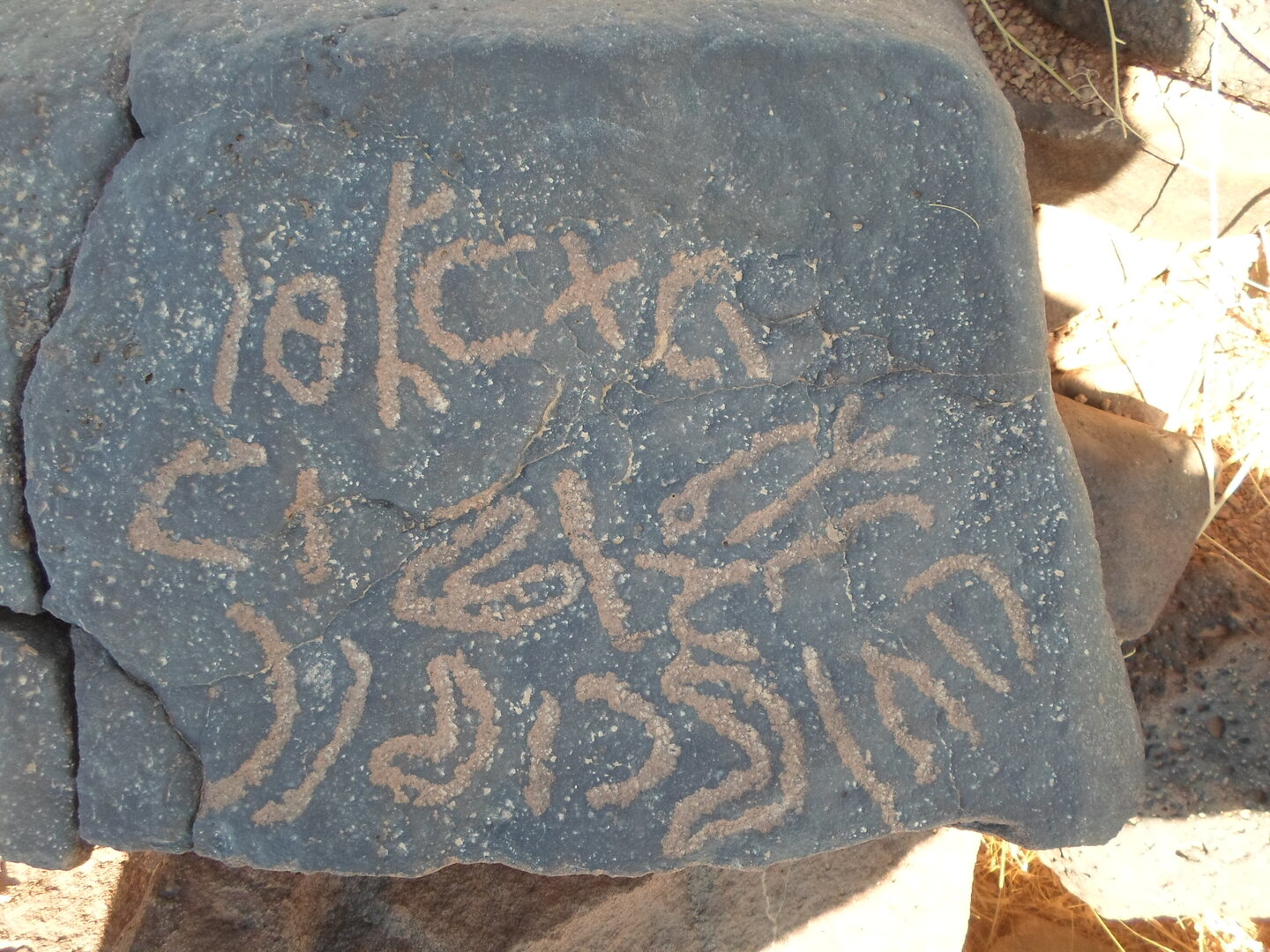 inscription of siglum ZMMS 72