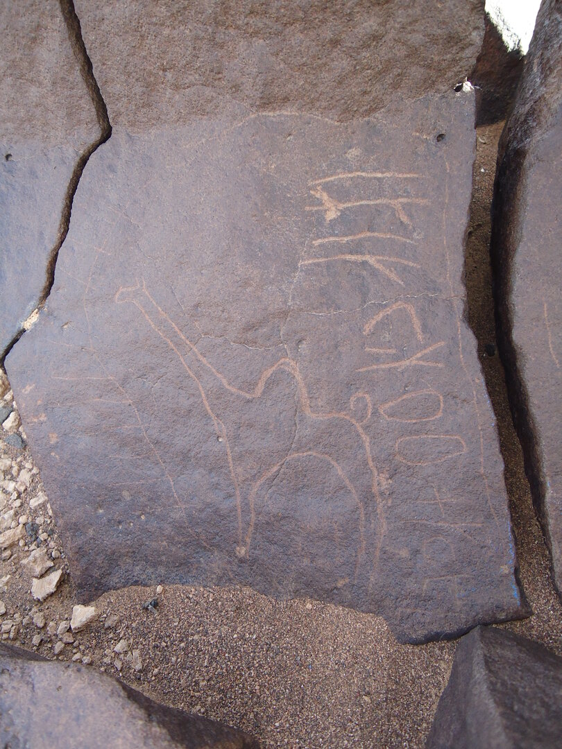 inscription of siglum ZMMS 73