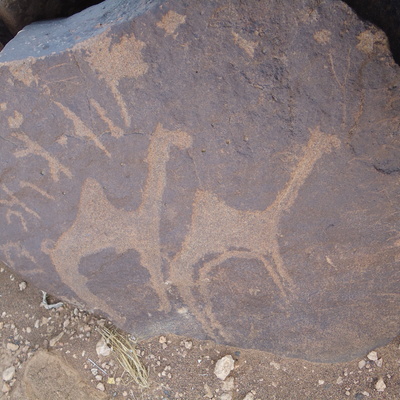 inscription of siglum ZMMS 76