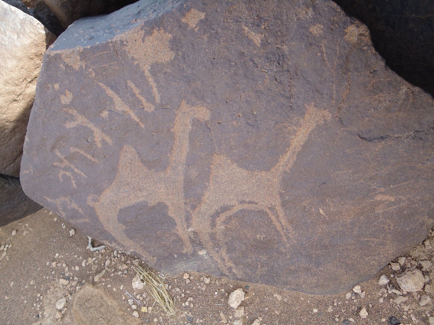 inscription of siglum ZMMS 76