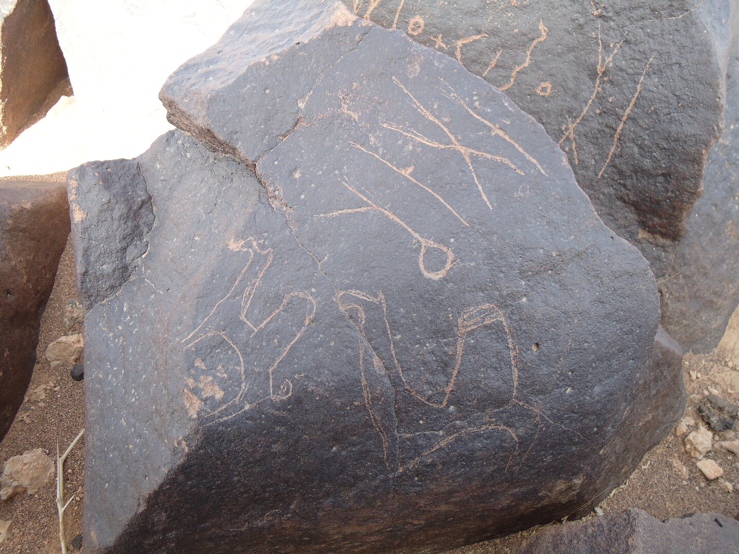 inscription of siglum ZMMS 79