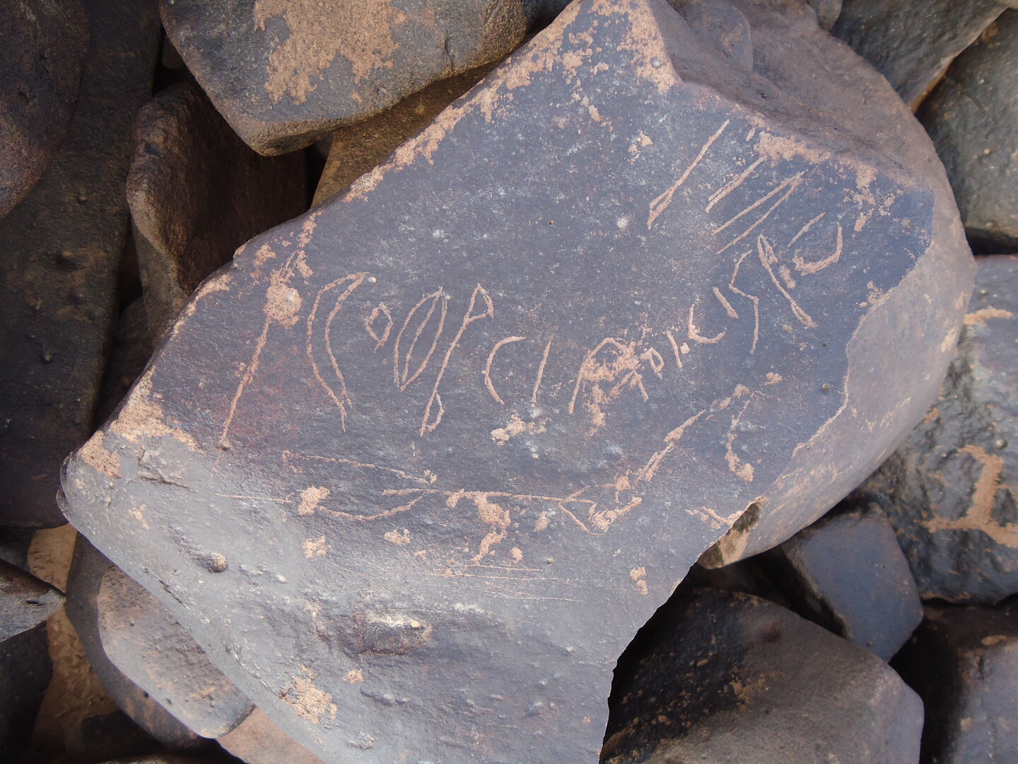 inscription of siglum ZMMS 81