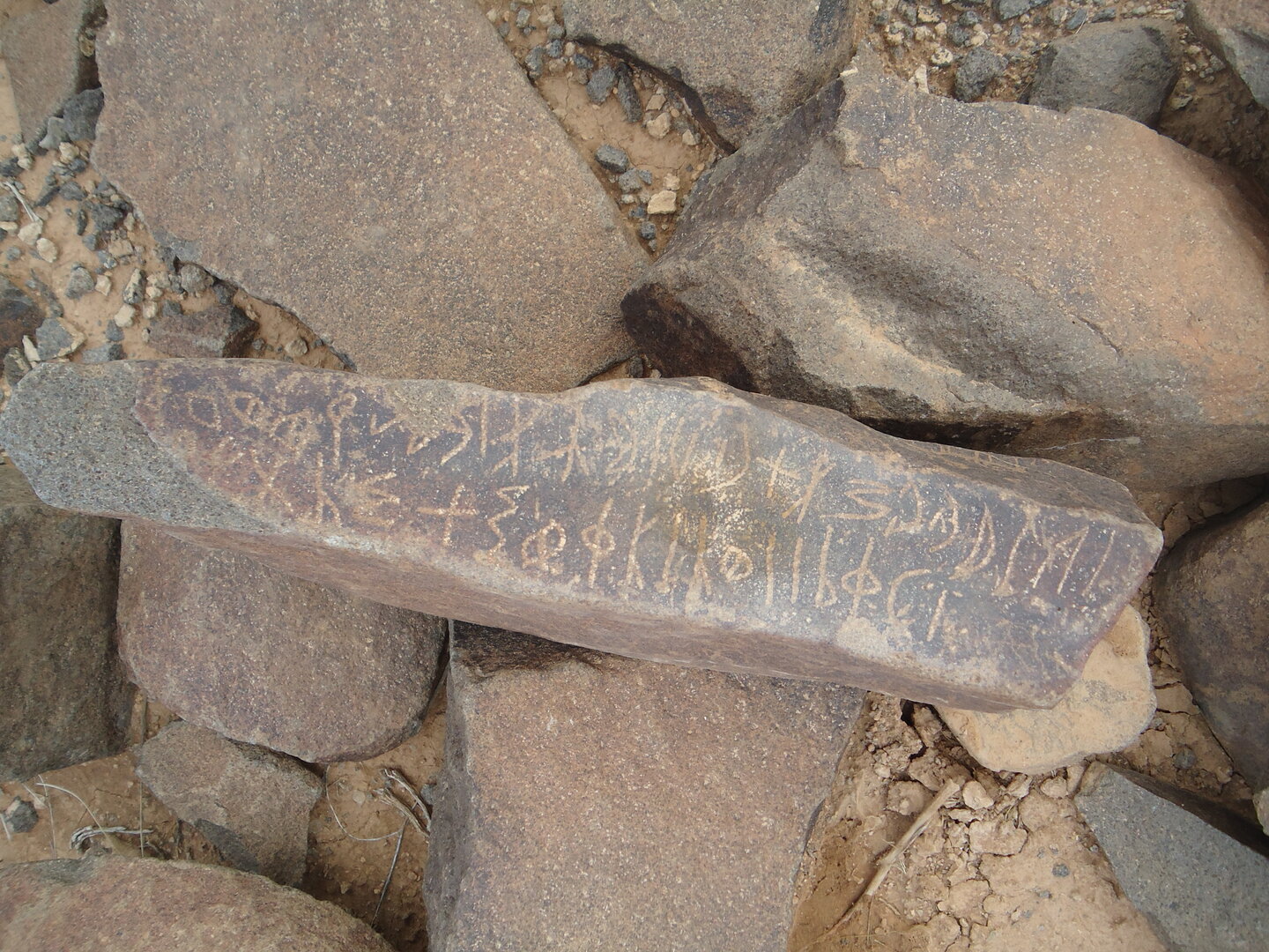 inscription of siglum ZMMS 82