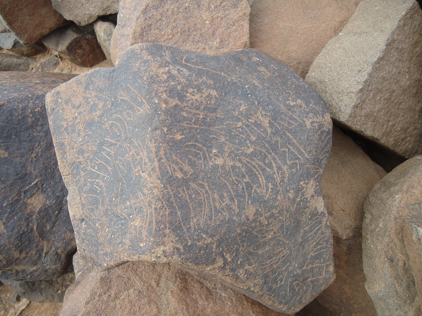 inscription of siglum ZMMS 86