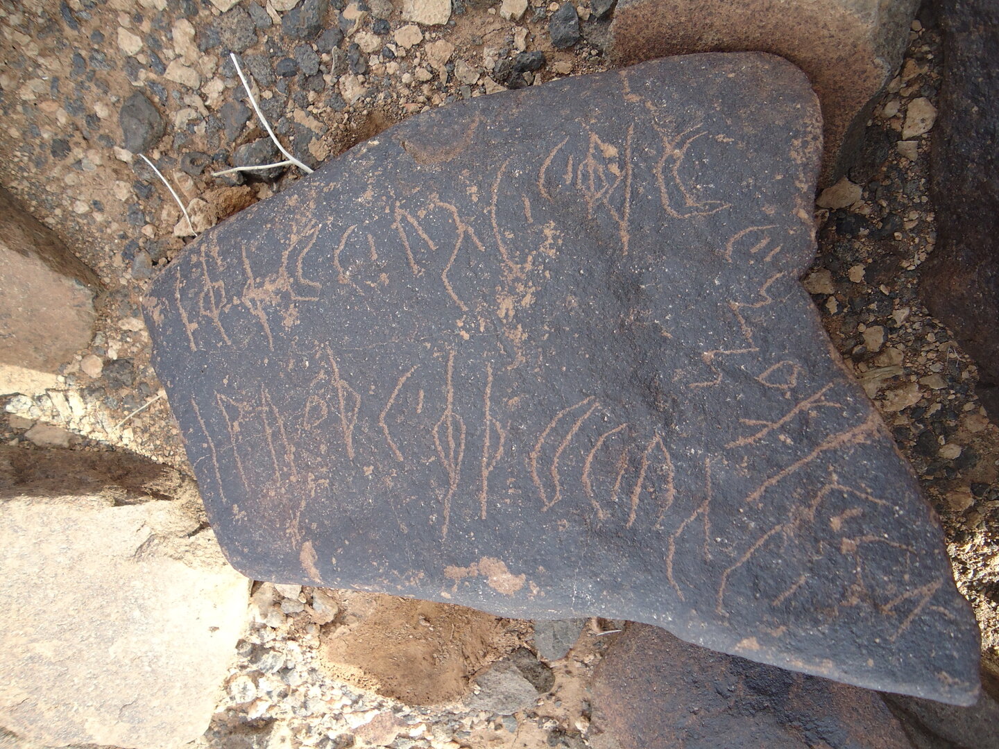 inscription of siglum ZMMS 88