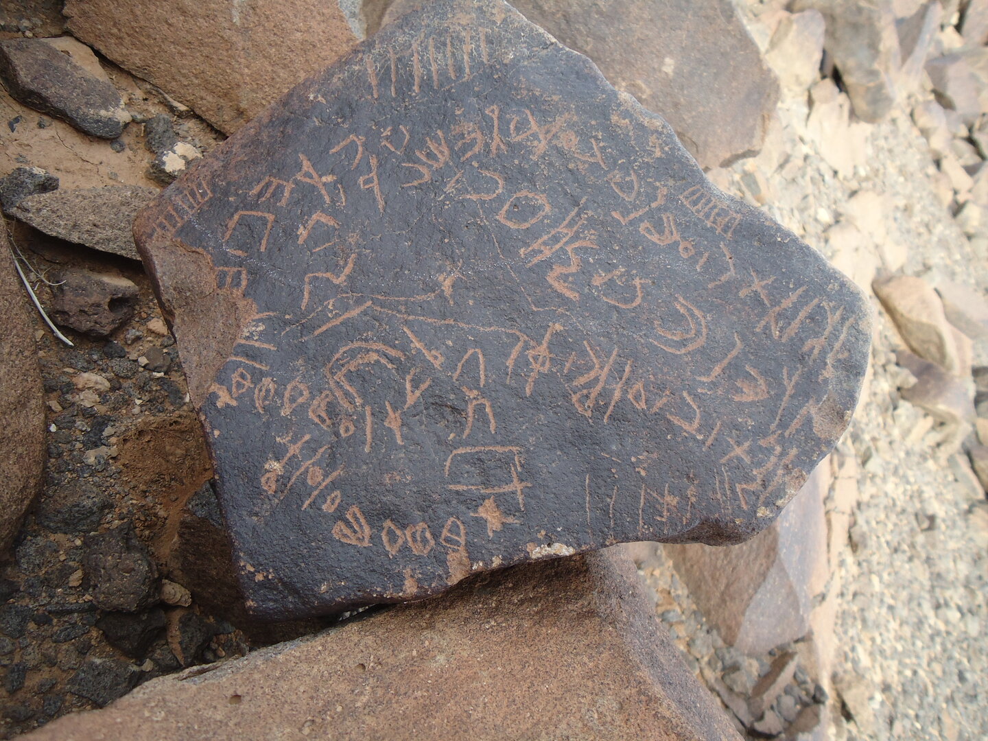 inscription of siglum ZMMS 90