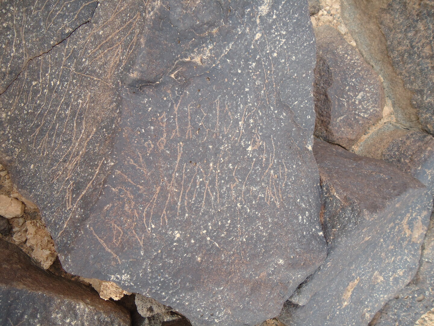inscription of siglum ZMMS 92