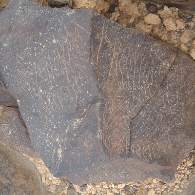 inscription of siglum ZMMS 93