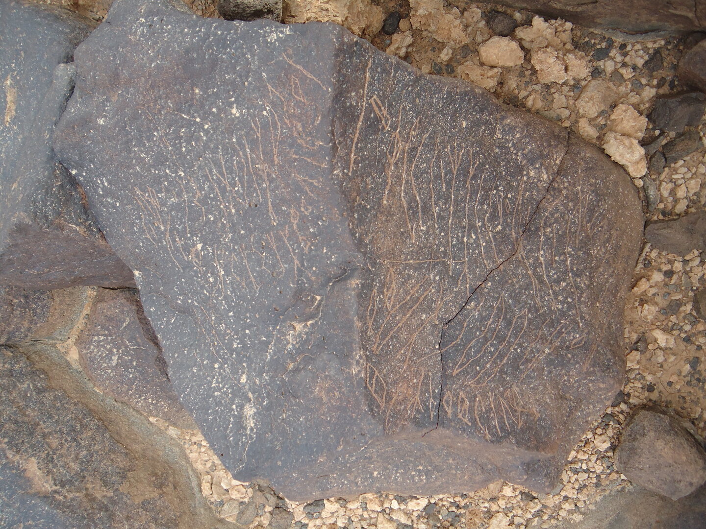 inscription of siglum ZMMS 93