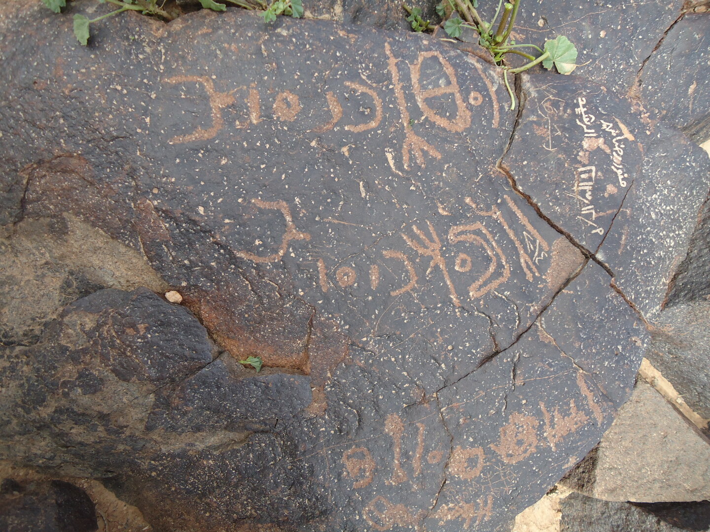 inscription of siglum ZMMS 95